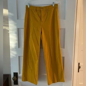 JCrew yelling relaxed fit pants